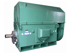 歙县Y系列6KV高压电机品质保证